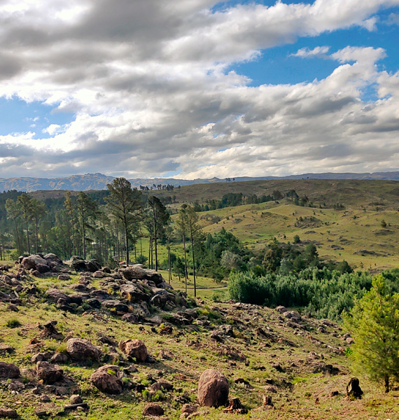 Valle de Calamuchita